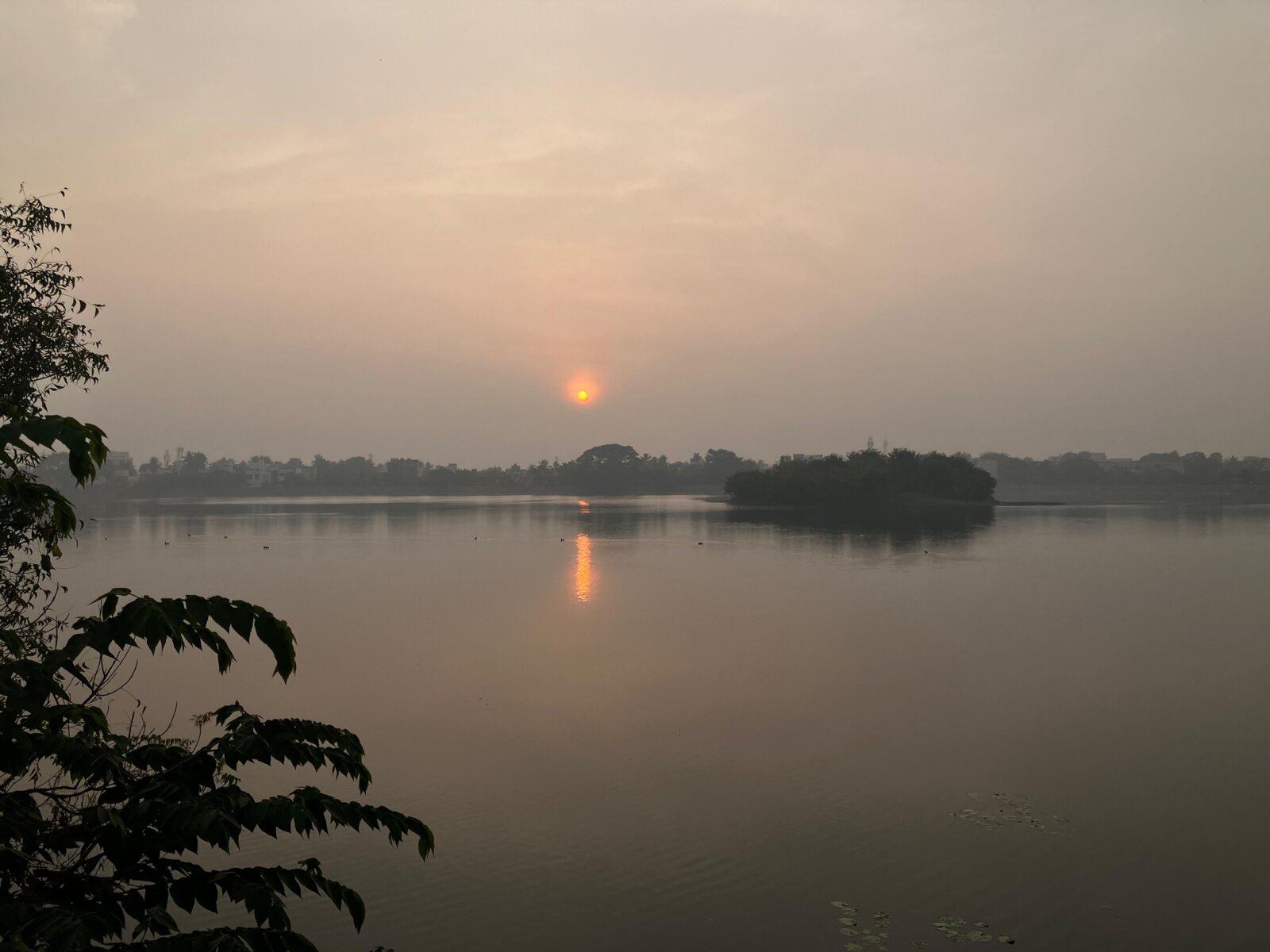 Chitlapakkam Lake, 2014